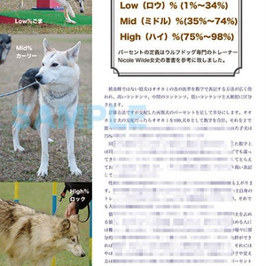 世界と日本の狼犬図鑑