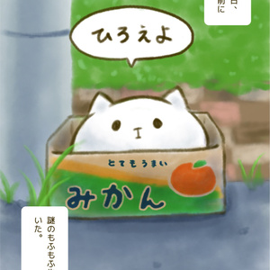 もふもふしいものかんさつ日記