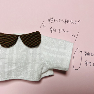 10cm ぬいぐるみ にじぱぺっと ぬい服 - jina's closet 𓂃 𓈒𓏸໒