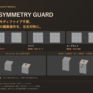 TG_SYMMETRY_GUARD