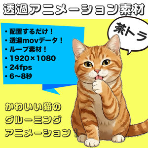 茶トラお座りグルーミング【透過アニメーション素材｜シームレスループ】 Orange Tabby Sitting Grooming – Transparent Seamless Loop Animation