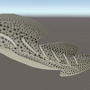 Shark tail