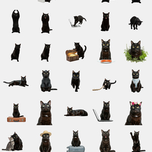 NekoStock　黒猫　コンプリートセット　359枚