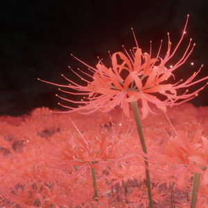 【無料3Dモデル】彼岸花