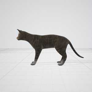 猫　3dモデル　アーマチュア