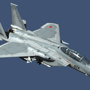 航空自衛隊 F-15DJ