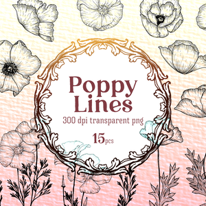 Poppy Flower Botanical Line, 15 transparent PNG Set