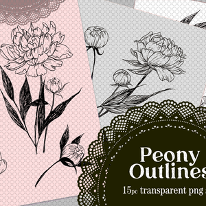 Peony Flower Botanical Lines, 15 Transparent PNG Set