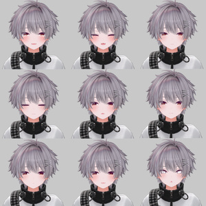 【男の子化】ミルティナ/Milltina Face Animation Pack/60 Expressions 缩略图 3