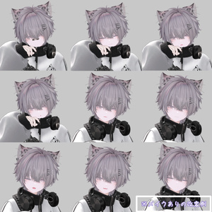 【男の子化】ミルティナ/Milltina Face Animation Pack/60 Expressions 缩略图 5