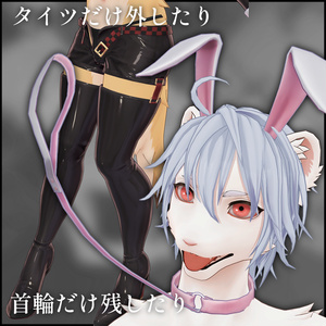 【エテル(DuCBody)対応】ReBunnySuit【逆バニー】 缩略图 4