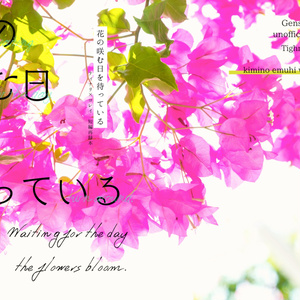 花の咲む日を待っている