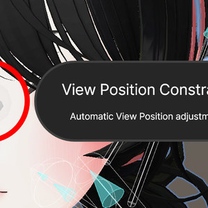 View Position Constraint
