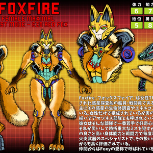 Foxfire Design Works ＆ Photo Book