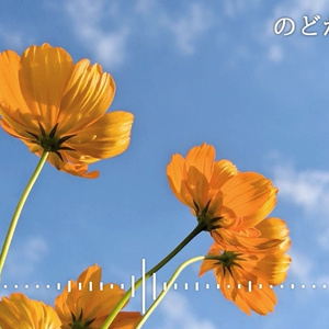 音楽素材『のどかな町の中』BGM曲