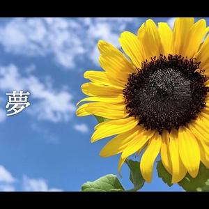 音楽素材『夢』歌もの曲