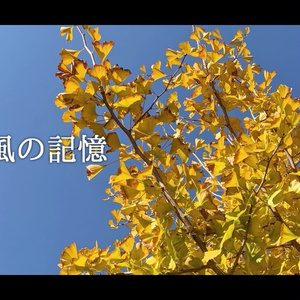 音楽素材『秋風の記憶』歌もの曲