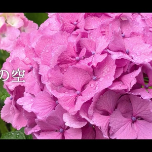 音楽素材『6月の空』歌もの曲