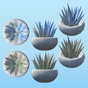 PPSucculents 多肉植物 缩略图 8