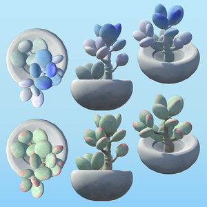 PPSucculents 多肉植物 缩略图 9