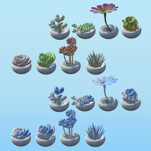 PPSucculents 多肉植物 缩略图 2
