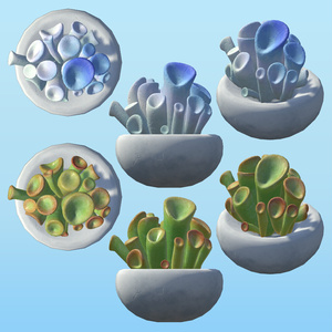PPSucculents 多肉植物 缩略图 12