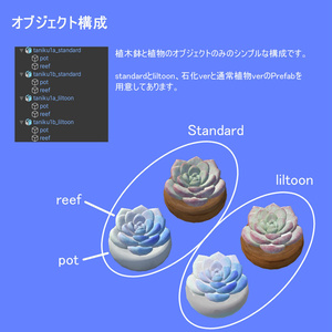 PPSucculents 多肉植物 缩略图 4