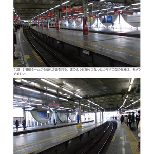 東急東横線渋谷駅 2013.3.5