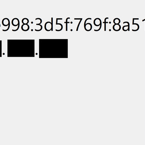 IPアドレスを表示するための「getip.exe」