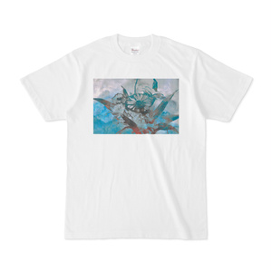 VASE t