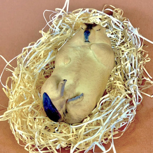 Insomnia3D 叫ぶマーモット ScreamingMarmot 1st Color - insomnia3D