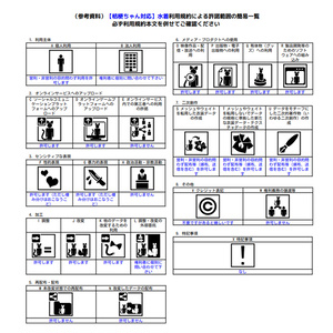 【桔梗ちゃん対応】水着 缩略图 15