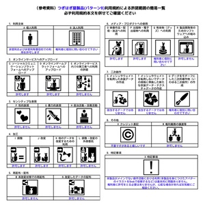 [汎用3Dアイテム]振れる塩【ギミックつき】 缩略图 4