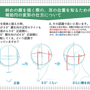 質問への回答と補足ー斜め顔を描く際のアタリ補助円の変形/正面から見た鼻の高低の描き分け