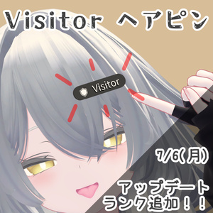 【無料】Visitorヘアピン（＋α）