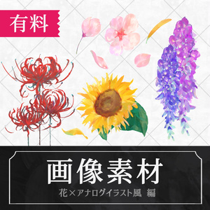 ▍画像素材｜花×アナログイラスト風