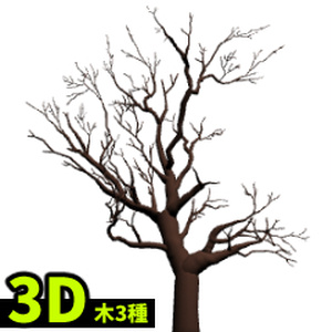 【3D】木