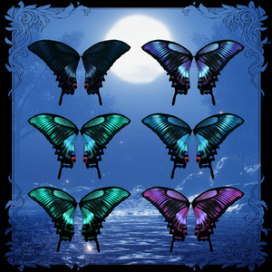 燐光蝶羽/butterfly wing　#NeRosaVRC 缩略图 2