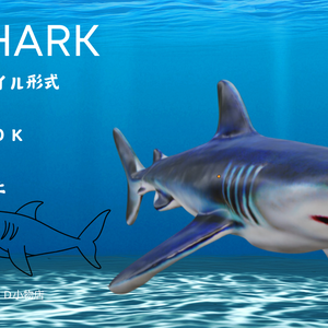 ３DSHARK（鮫）