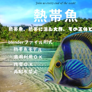3D熱帯魚