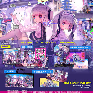 n-Dimension ~experiment~ （DVD-ROM付 自己製造本）