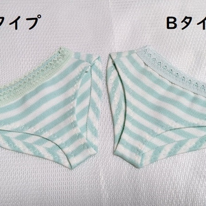 2種＊ミントボーダー＊おぱんちゅ＊DD共通＊