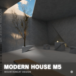 3Dモデル [Modern House M5]