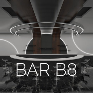3D model [Bar B8].