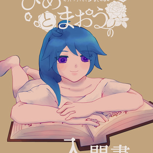 (冊子版)ひめとまおうの入門書