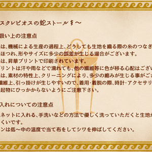 ベディヴィエール 原典集成 白銀の書 & 黄金の書 特装版】ベディヴィエール原典集成 白銀の書 - 西川秀和 - BOOTH