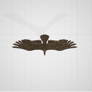 3d   鳥