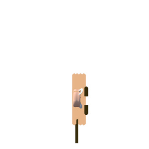 【無料】チーズナンくん/オリジナル3Dモデル【vrchat想定】 缩略图 5