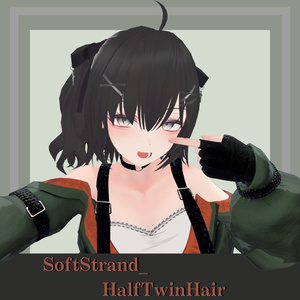 SoftStrand_HalfTwinHair【vrchat想定】