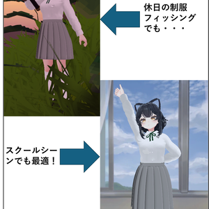 私立校風制服上下セット（ルチカ共通素体対応）